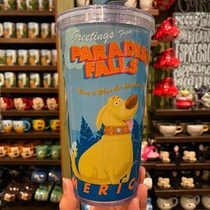 NWT Disney Parks Paradise Falls Tumbler with Straw